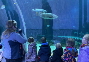 dzieci słuchają ciekawostek na temat życia różnych gatunków ryb