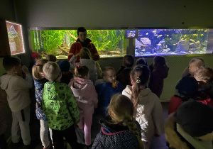 dzieci spacerują po ZOO i oglądają różne gatunki zwierząt