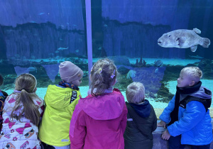 dzieci słuchają ciekawostek na temat życia różnych gatunków ryb