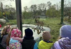 dzieci spacerują po ZOO i oglądają różne gatunki zwierząt