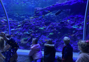 dzieci słuchają ciekawostek na temat życia różnych gatunków ryb