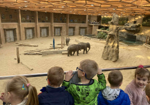 dzieci spacerują po ZOO i oglądają różne gatunki zwierząt