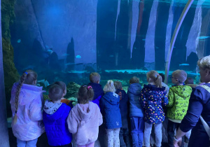 dzieci słuchają ciekawostek na temat życia różnych gatunków ryb